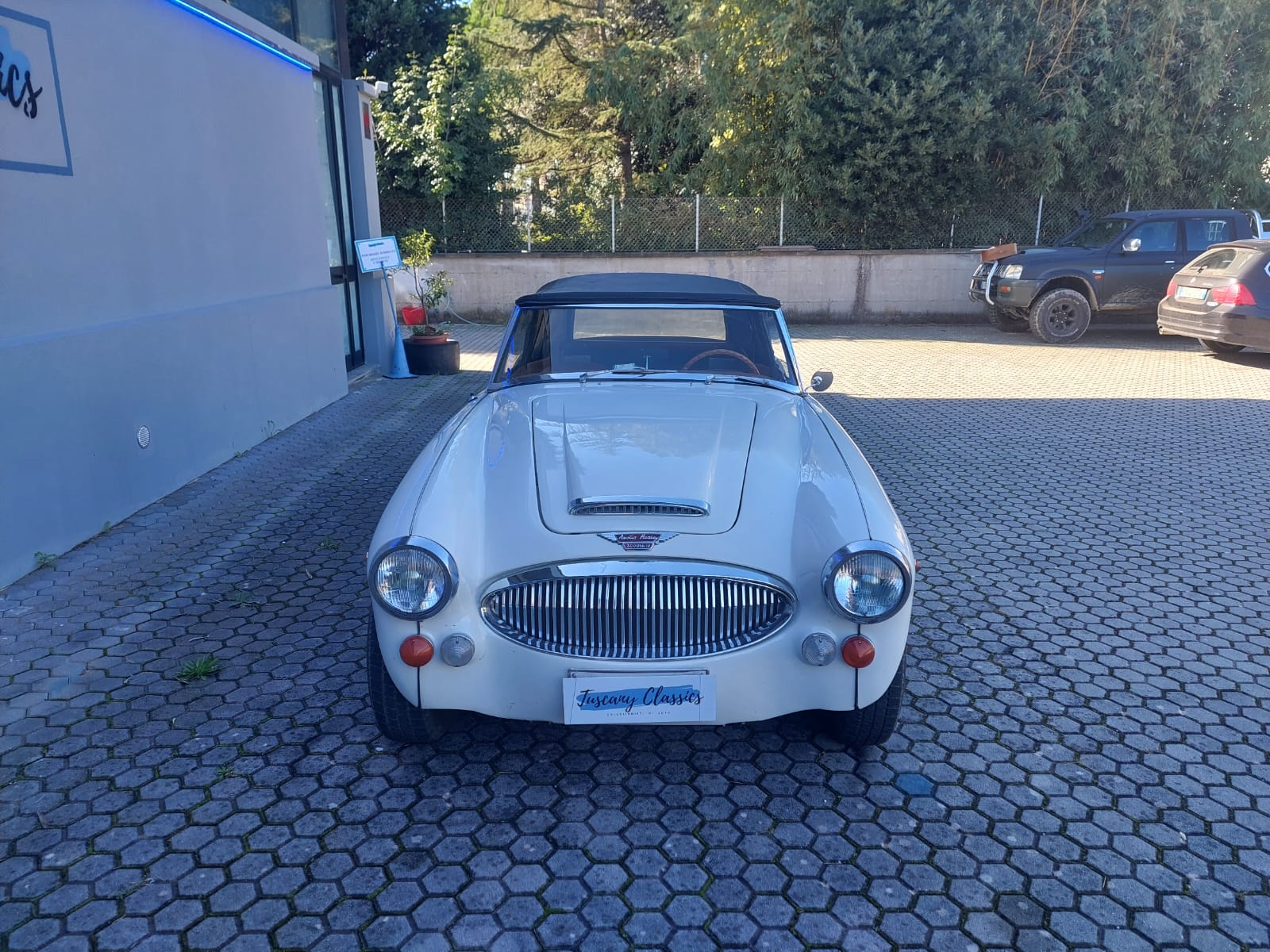 AUSTIN HEALEY 3000 MKIII BJ8