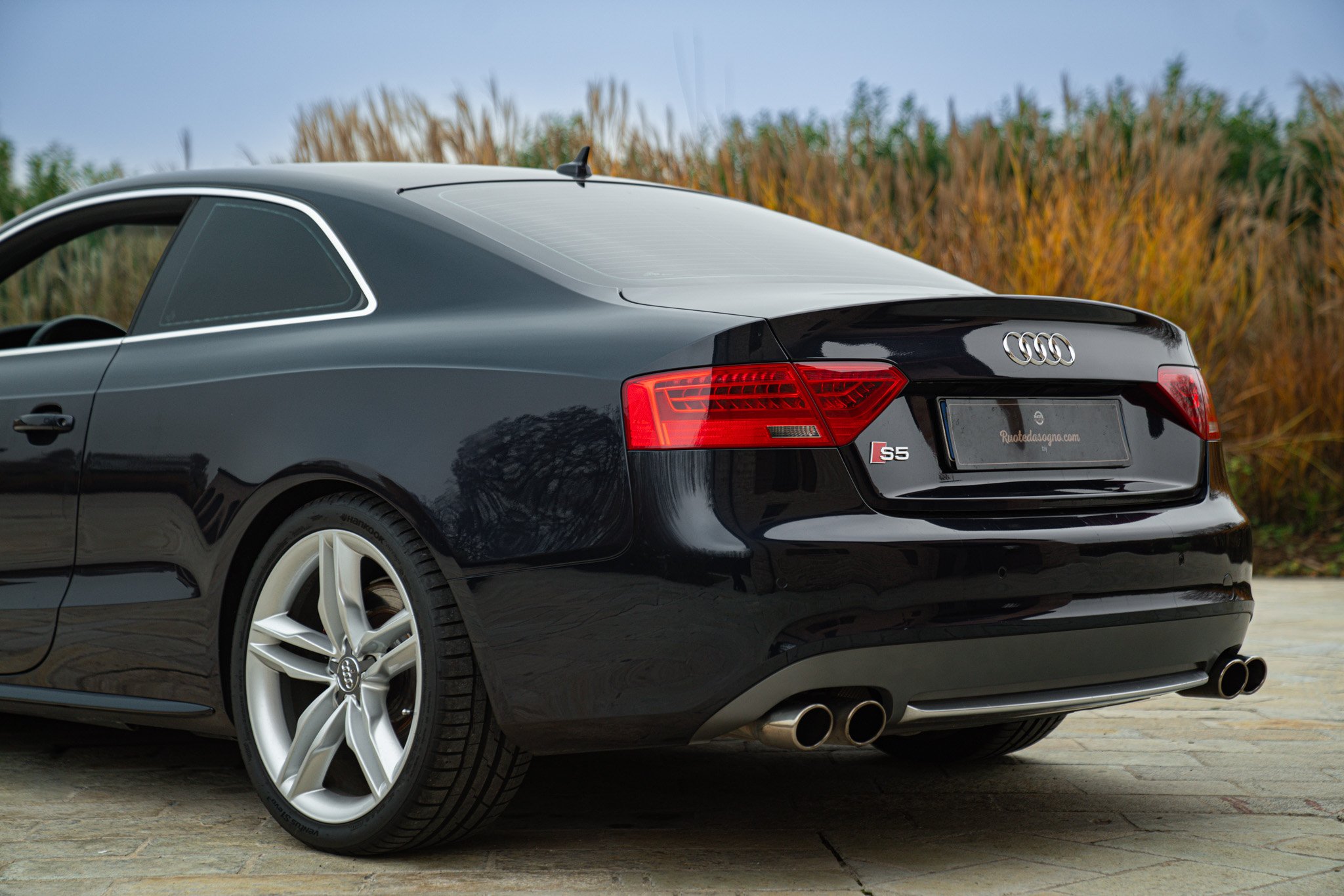 Audi S5 MANUALE 