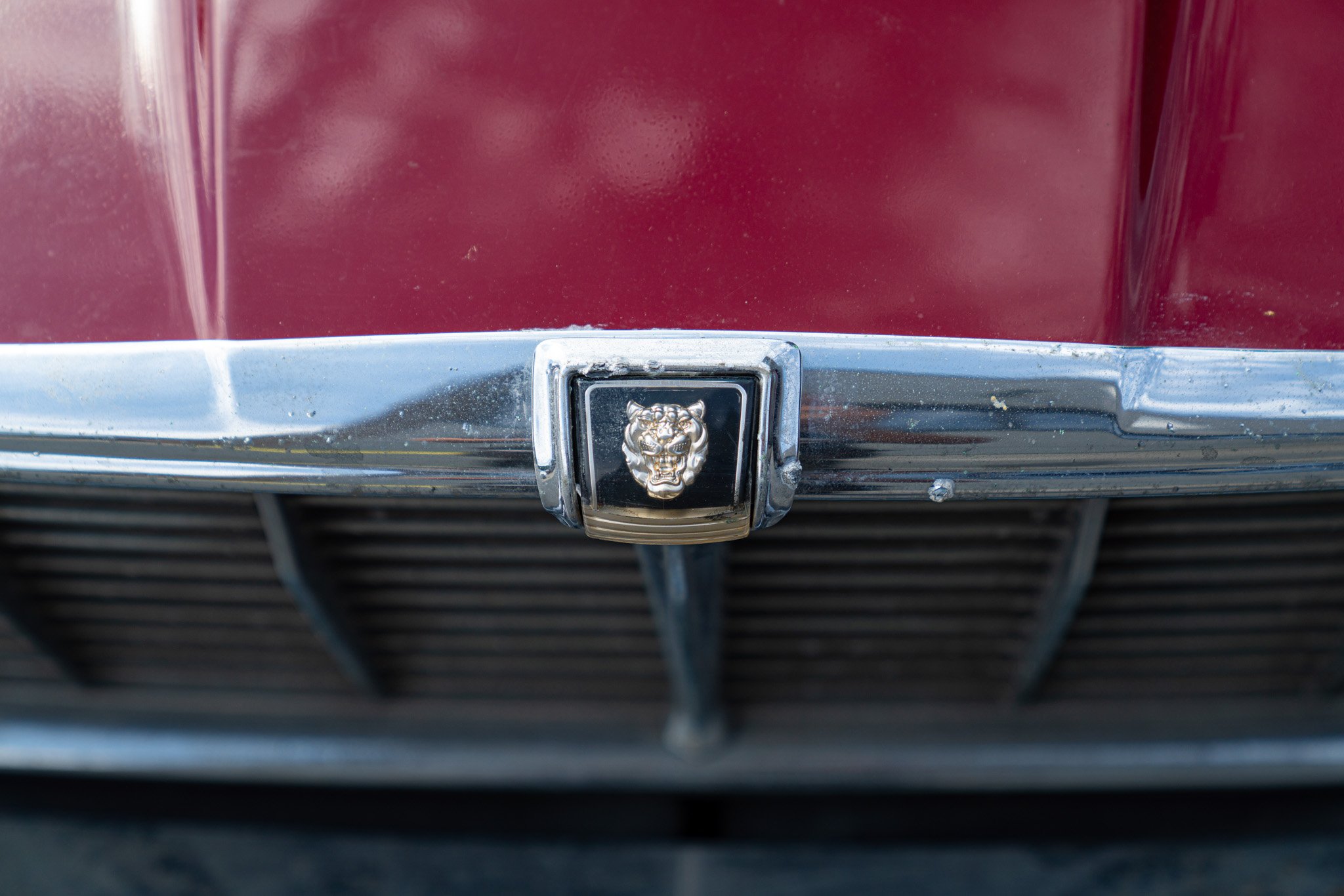Jaguar XJ6 3.6 