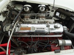 Austin Healey BN4 100/6 