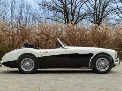 Austin Healey BN4 100/6 