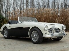 Austin Healey BN4 100/6 