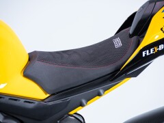 Ducati PANIGALE V4 BAGNAIA WORLD CHAMPION REPLICA 